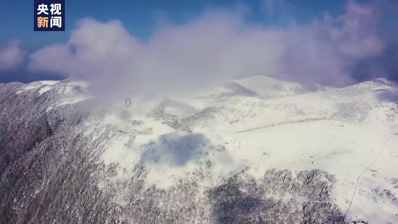 救援快乐的兔子
