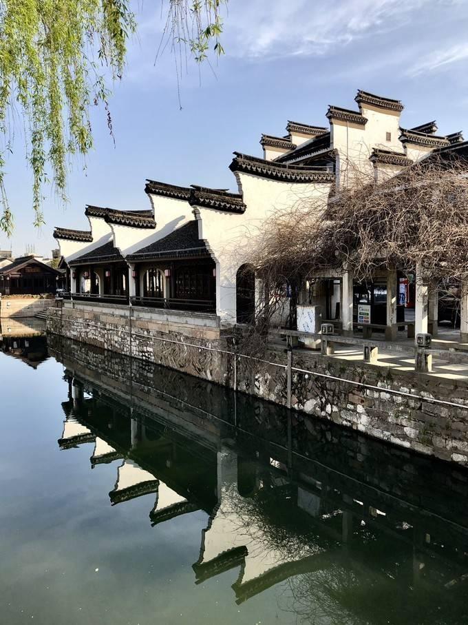 几块钱一瓶的维生素D,却是骨质疏松克星,适量补充收获4大好处